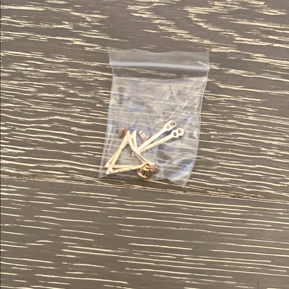 A pair of earrings